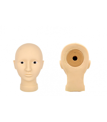 GŁOWA 3D do nauki